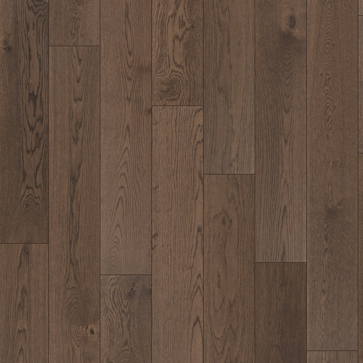 Element Flooring European white oak Tonic hardwood flooring — primary plank view