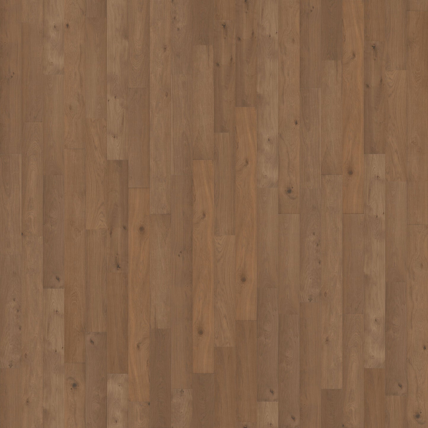 CALI European white oak Seacliff Sec hardwood flooring — primary plank view