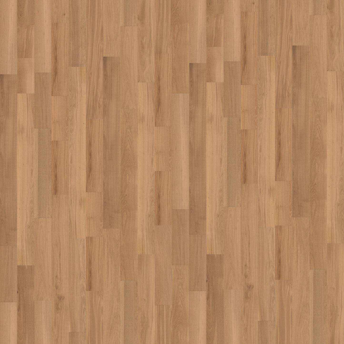 CALI European white oak Vintner Gold hardwood flooring — primary plank view