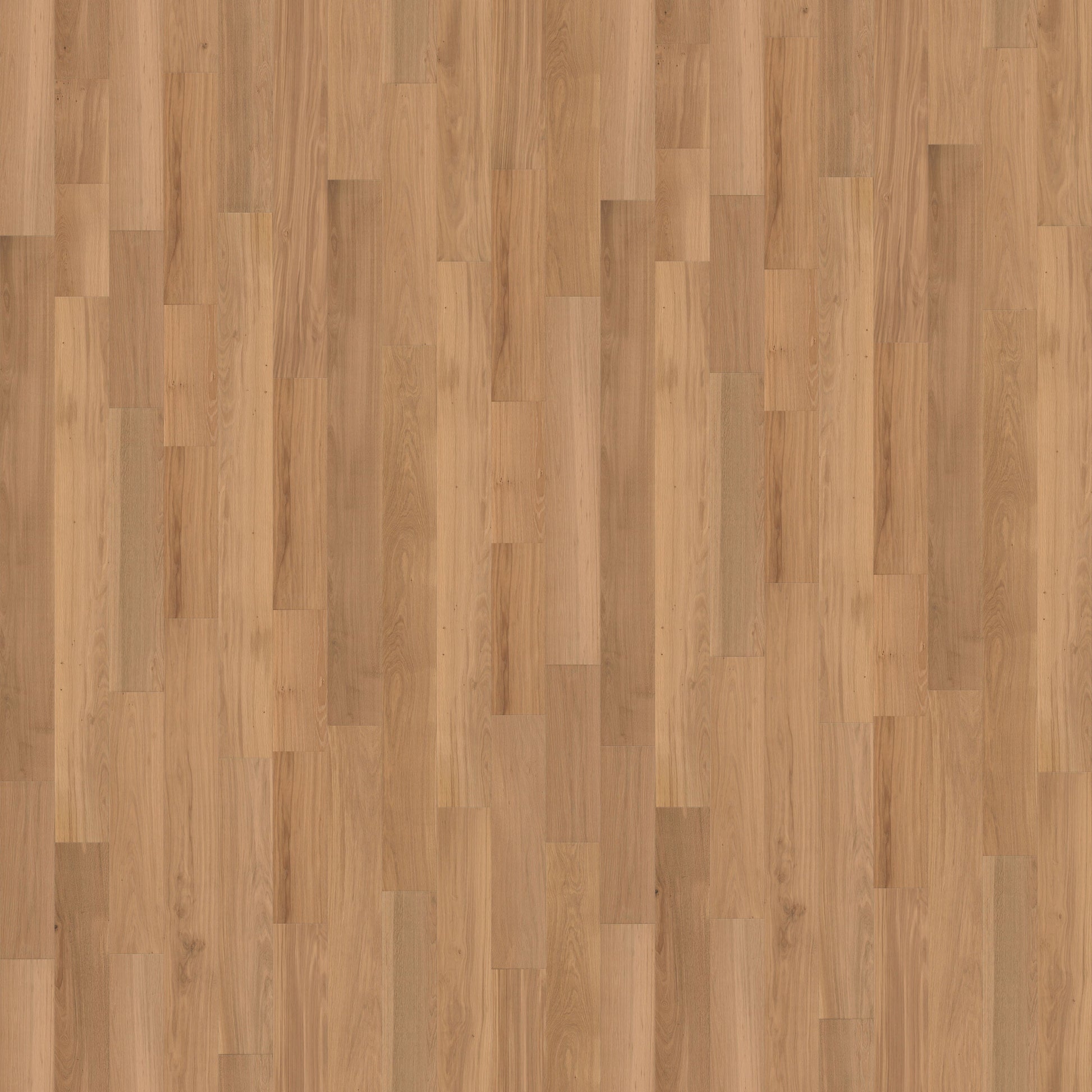 CALI European white oak Vintner Gold hardwood flooring — primary plank view