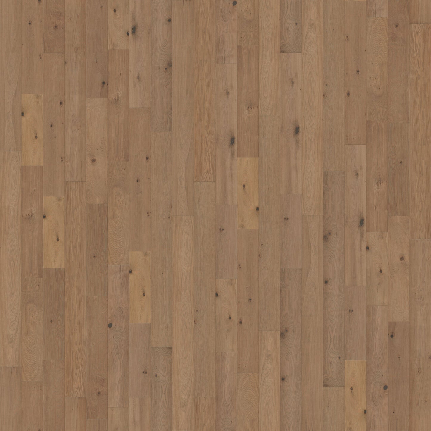 CALI European white oak Harbor Harvest hardwood flooring — primary plank view