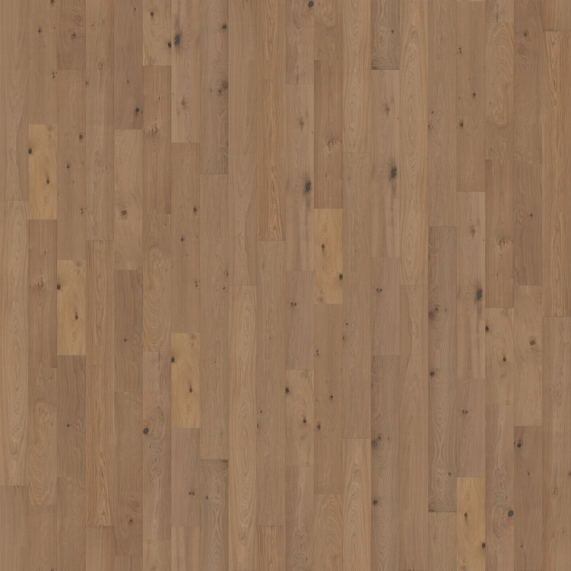 CALI European white oak Harbor Harvest hardwood flooring — primary plank view