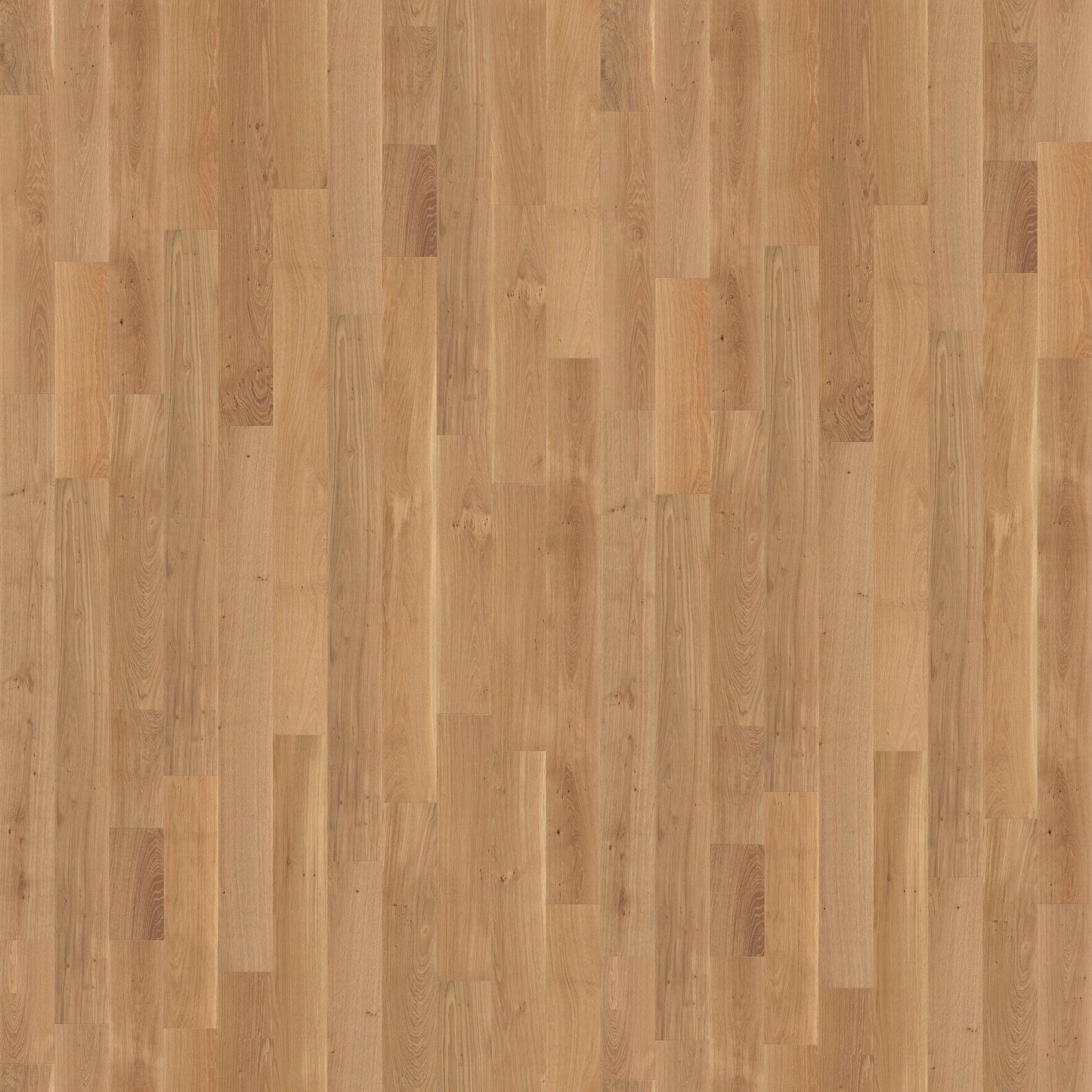 CALI European white oak Twilight Tannin hardwood flooring — primary plank view