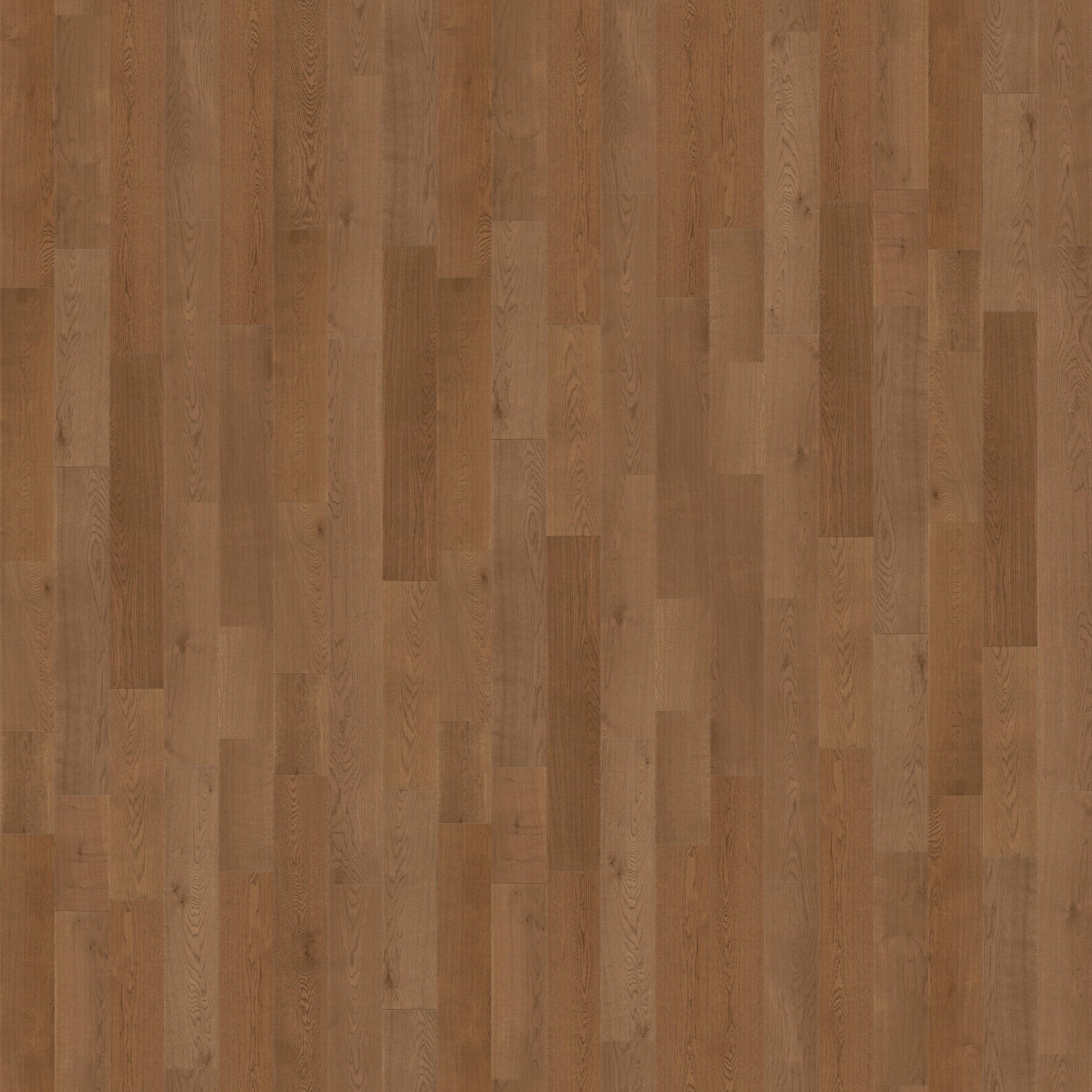 CALI European white oak Barnyard Brut hardwood flooring — primary plank view