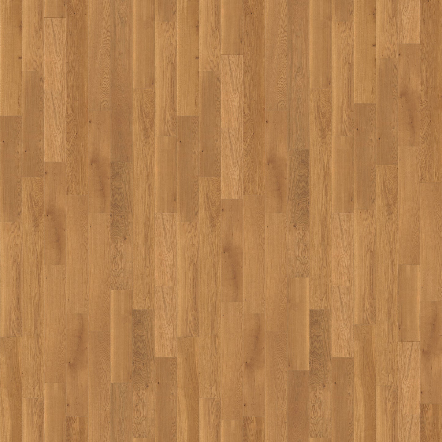 CALI European white oak Honeyed Harvest hardwood flooring — primary plank view