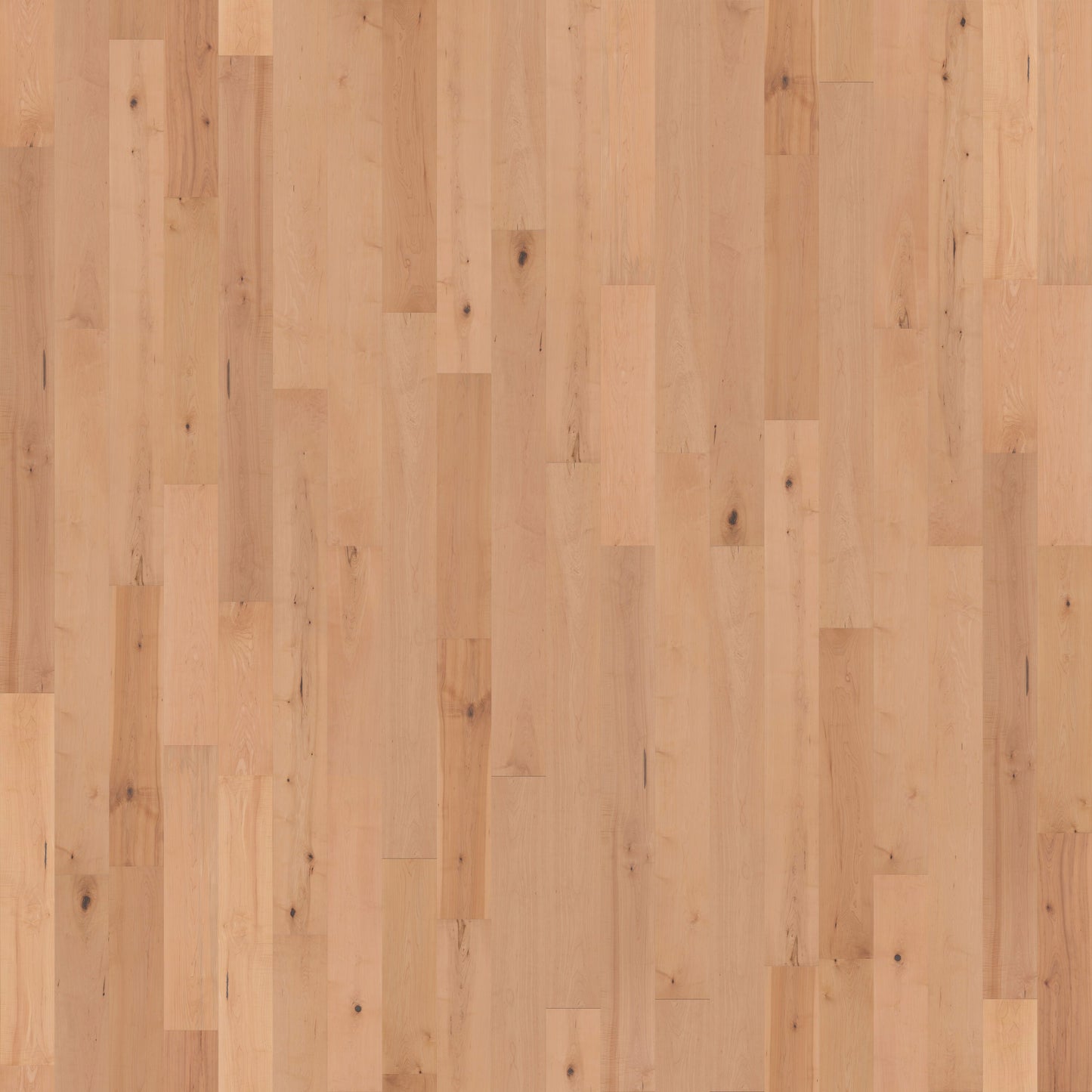 CALI Maple Natural Maple hardwood flooring — primary plank view