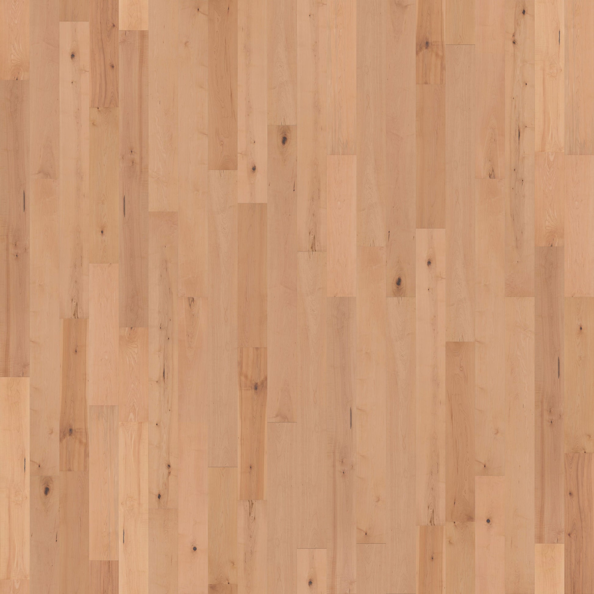 CALI Maple Natural Maple hardwood flooring — primary plank view