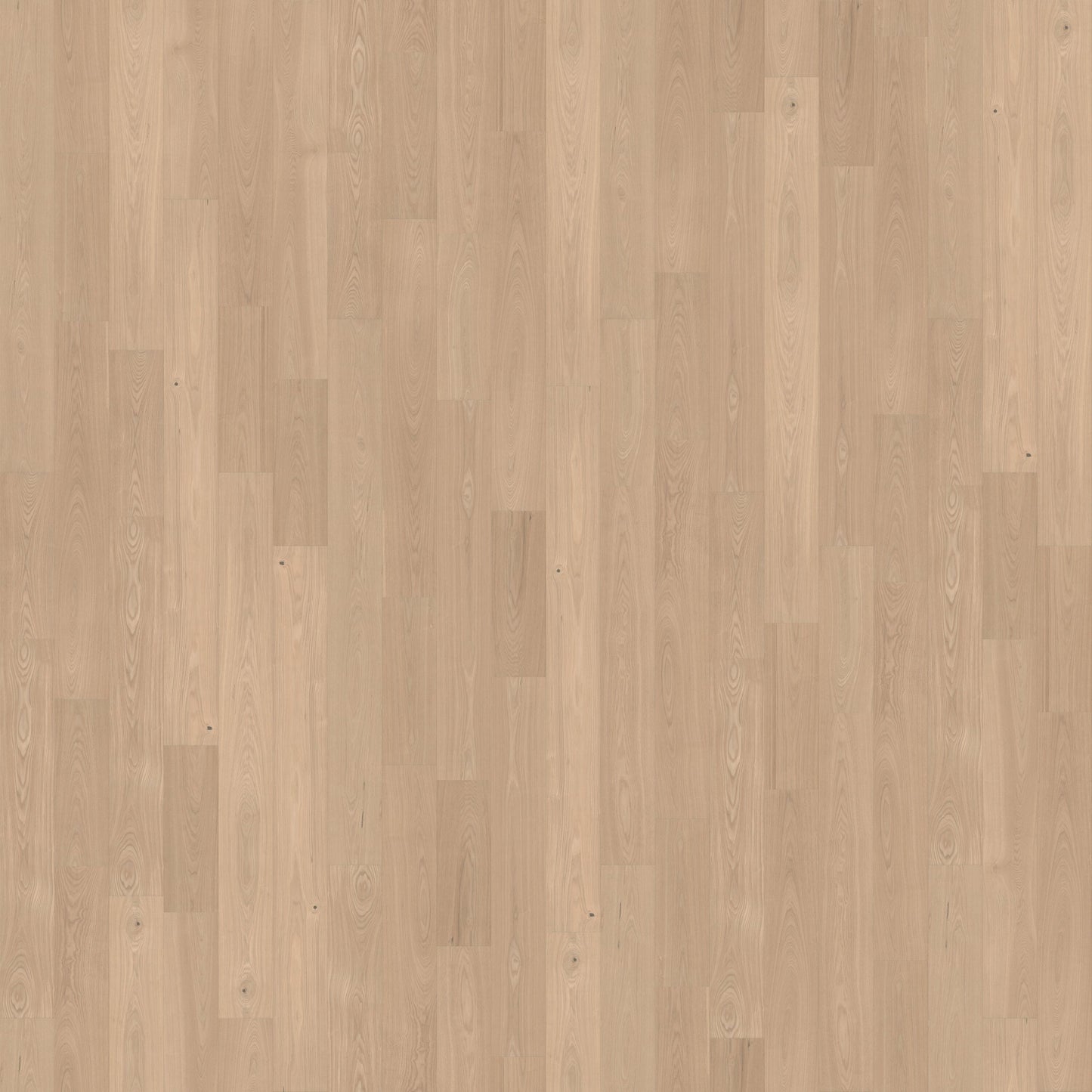 CALI Ash Clarified Ash hardwood flooring — primary plank view