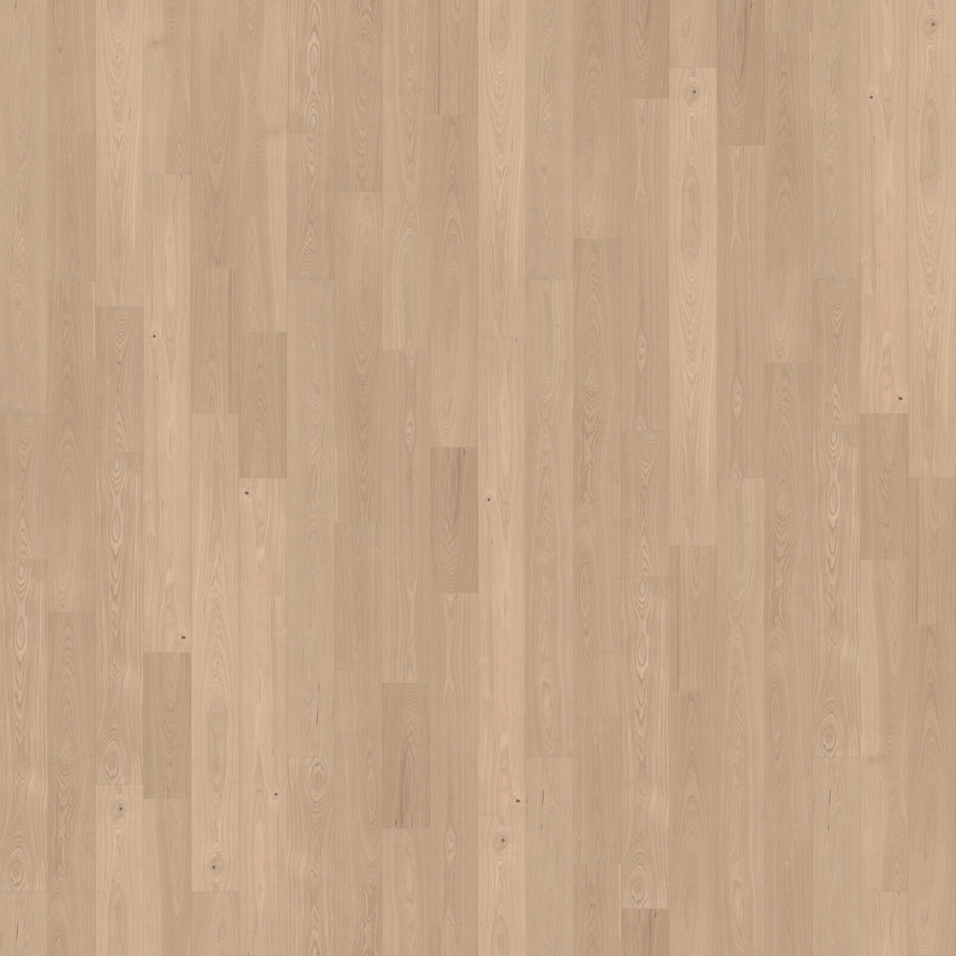 CALI Ash Clarified Ash hardwood flooring — primary plank view