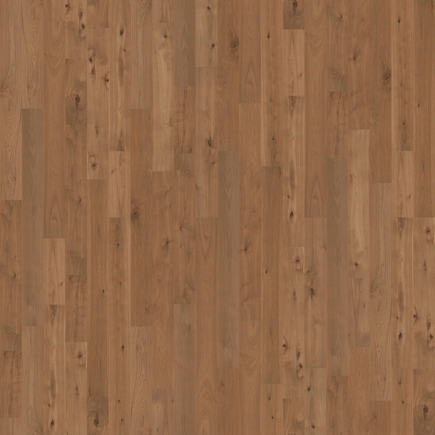 CALI Hickory Cured Hickory hardwood flooring — primary plank view