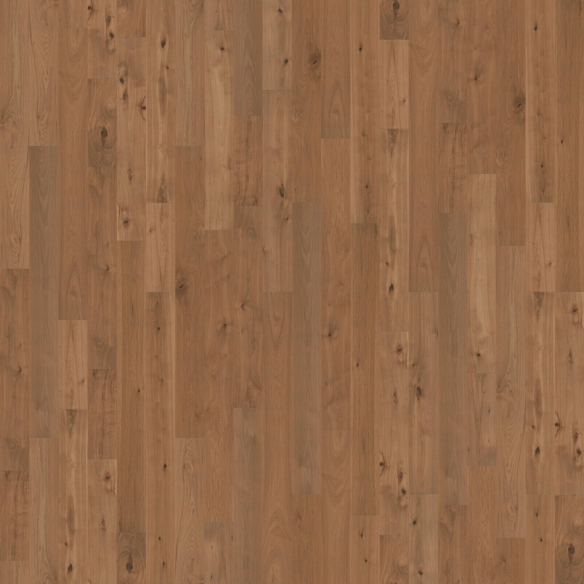 CALI Hickory Cured Hickory hardwood flooring — primary plank view
