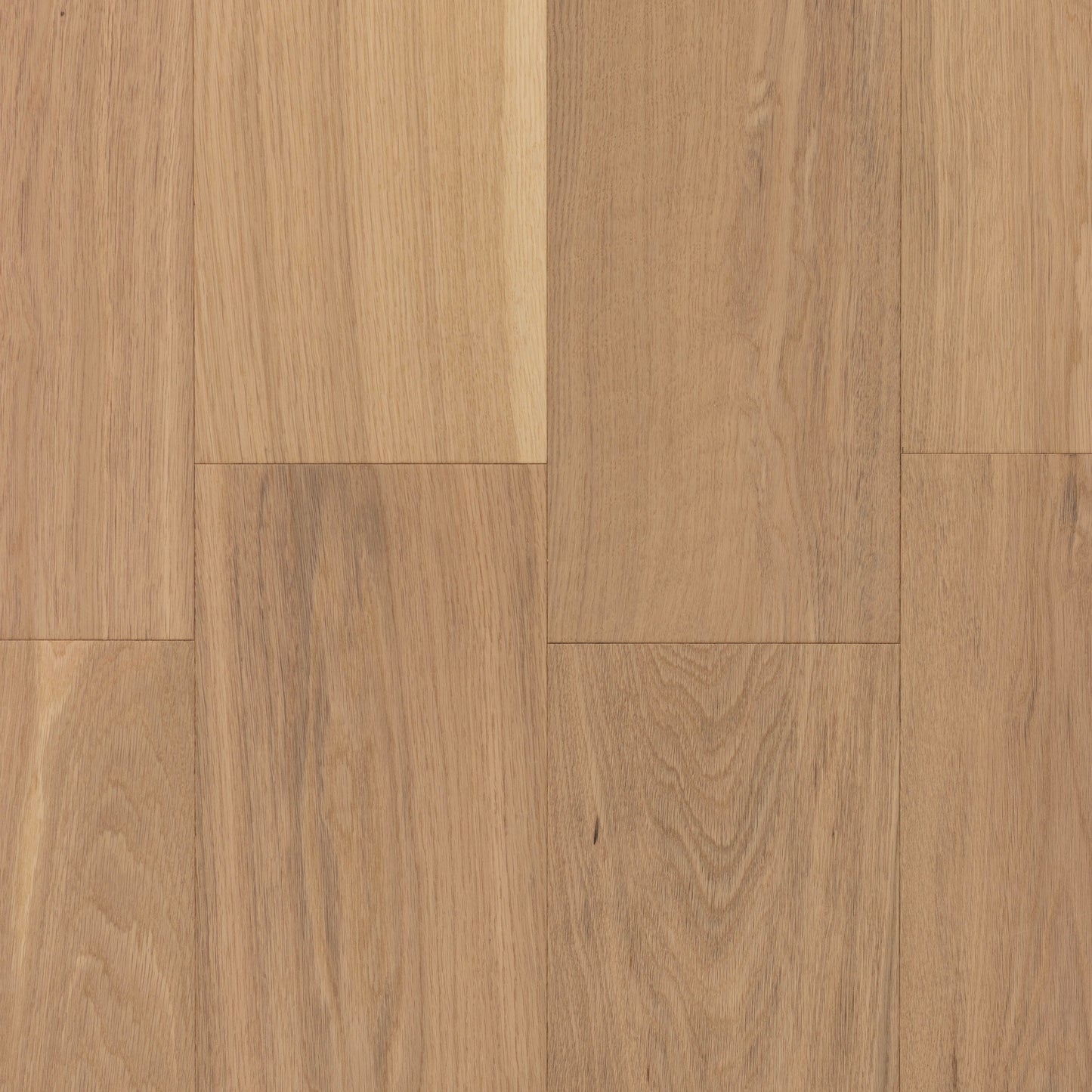 CALI European white oak New Vine hardwood flooring — alternate angle