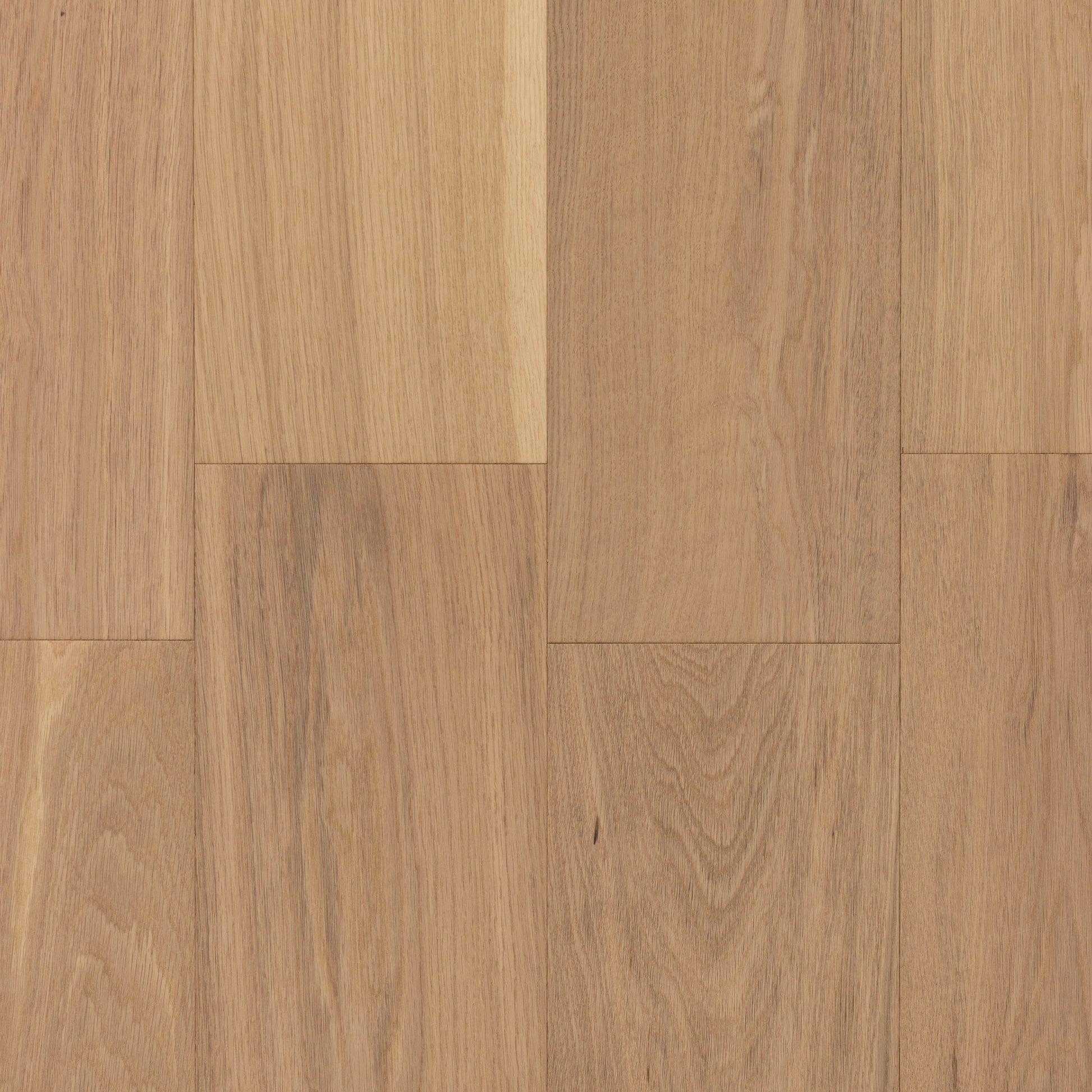 CALI European white oak New Vine hardwood flooring — alternate angle