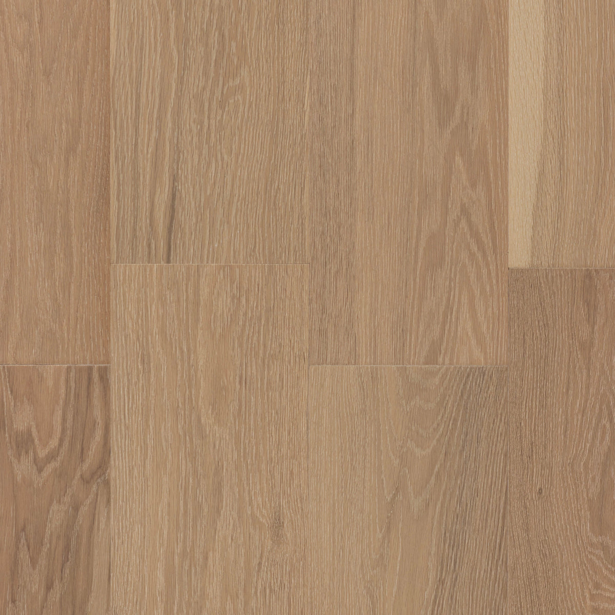 CALI European white oak California Cask hardwood flooring — alternate angle