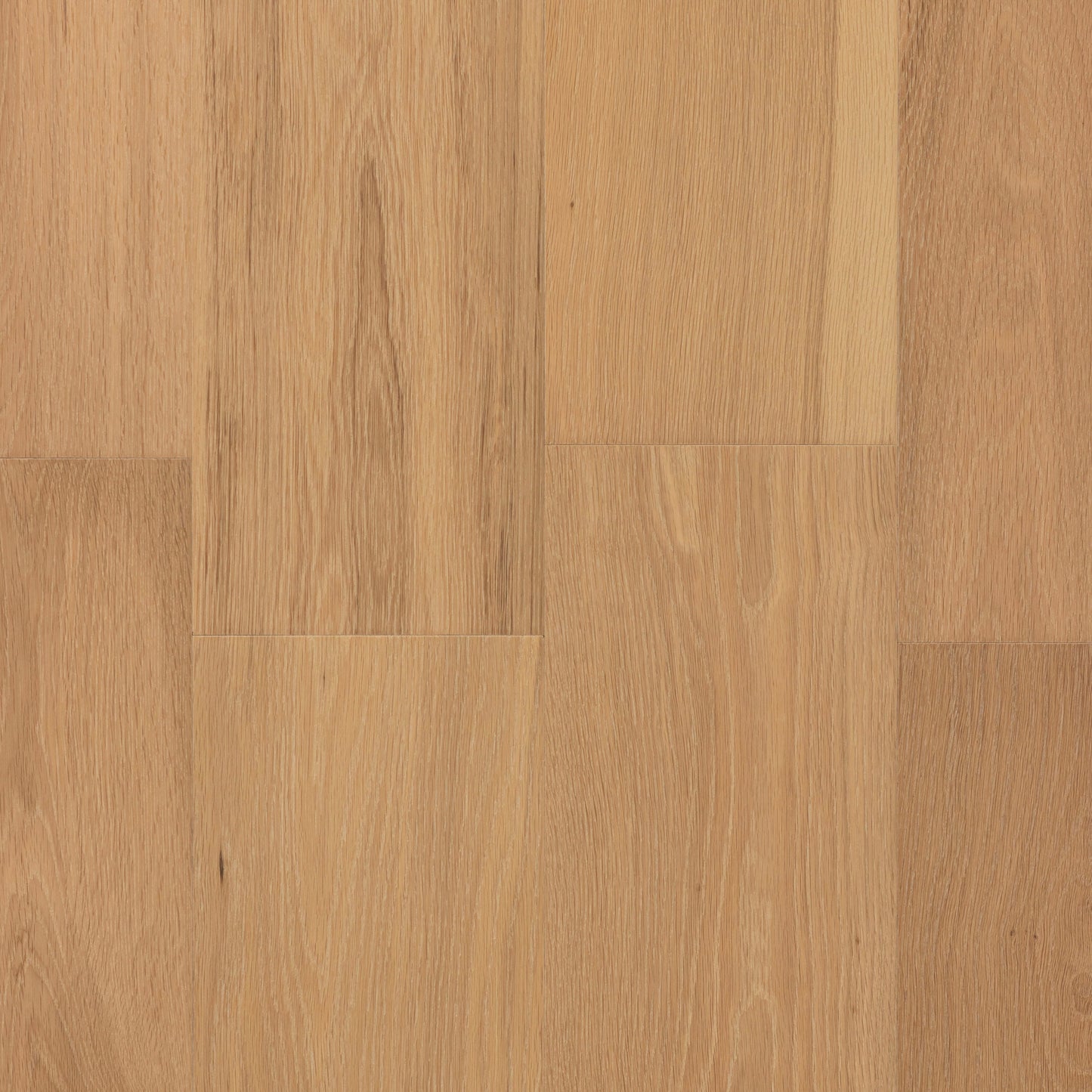 CALI European white oak Vintner Gold hardwood flooring — alternate angle