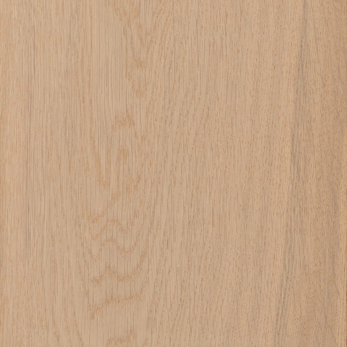 CALI European white oak Terra Rose hardwood flooring — lifestyle view