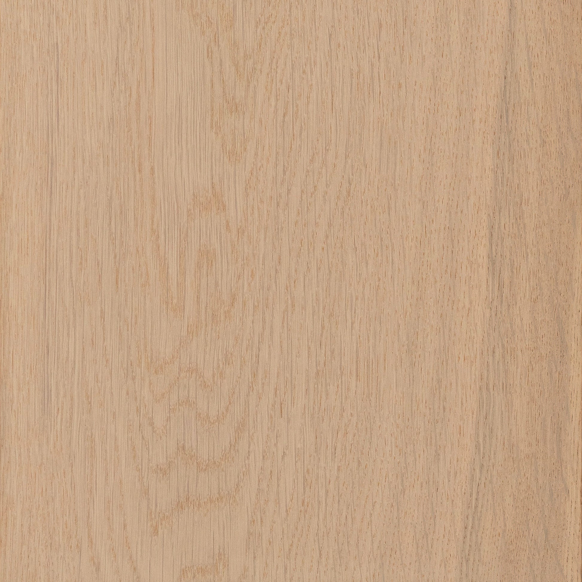 CALI European white oak Terra Rose hardwood flooring — lifestyle view