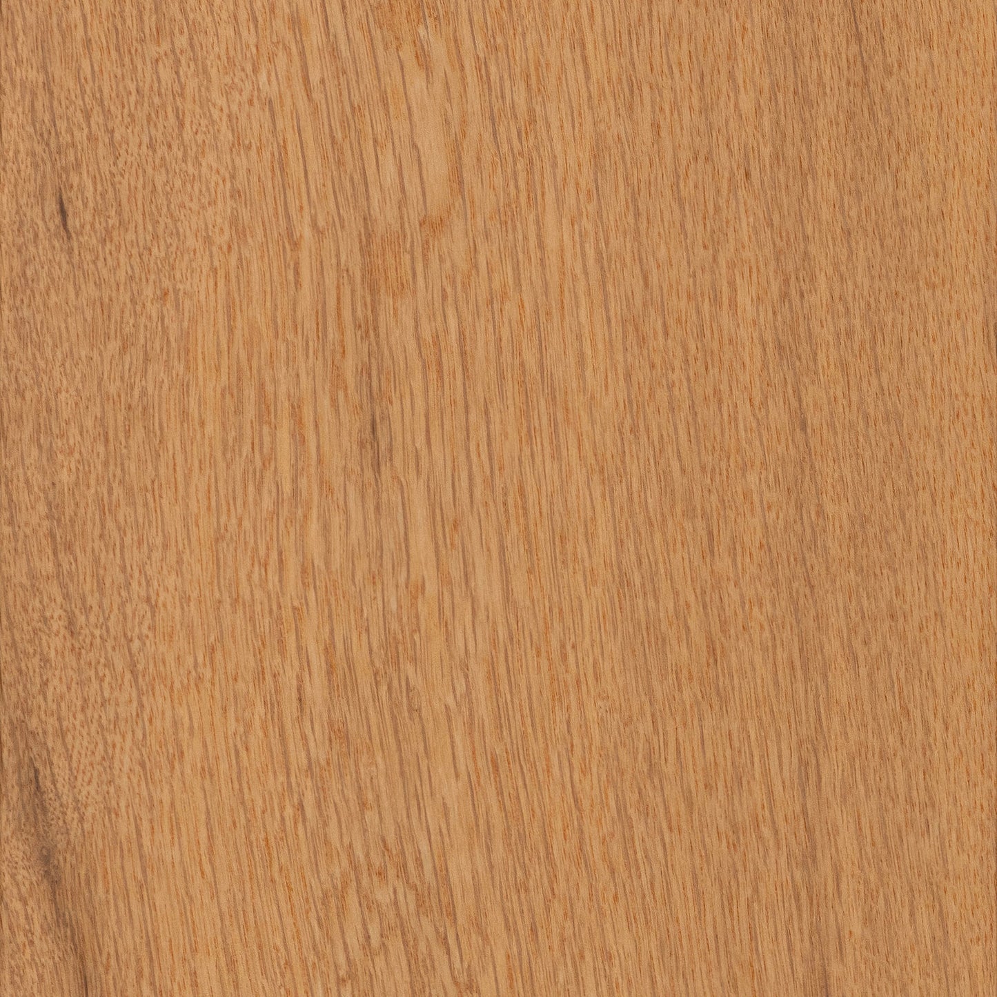 CALI European white oak Honeyed Harvest hardwood flooring — lifestyle view