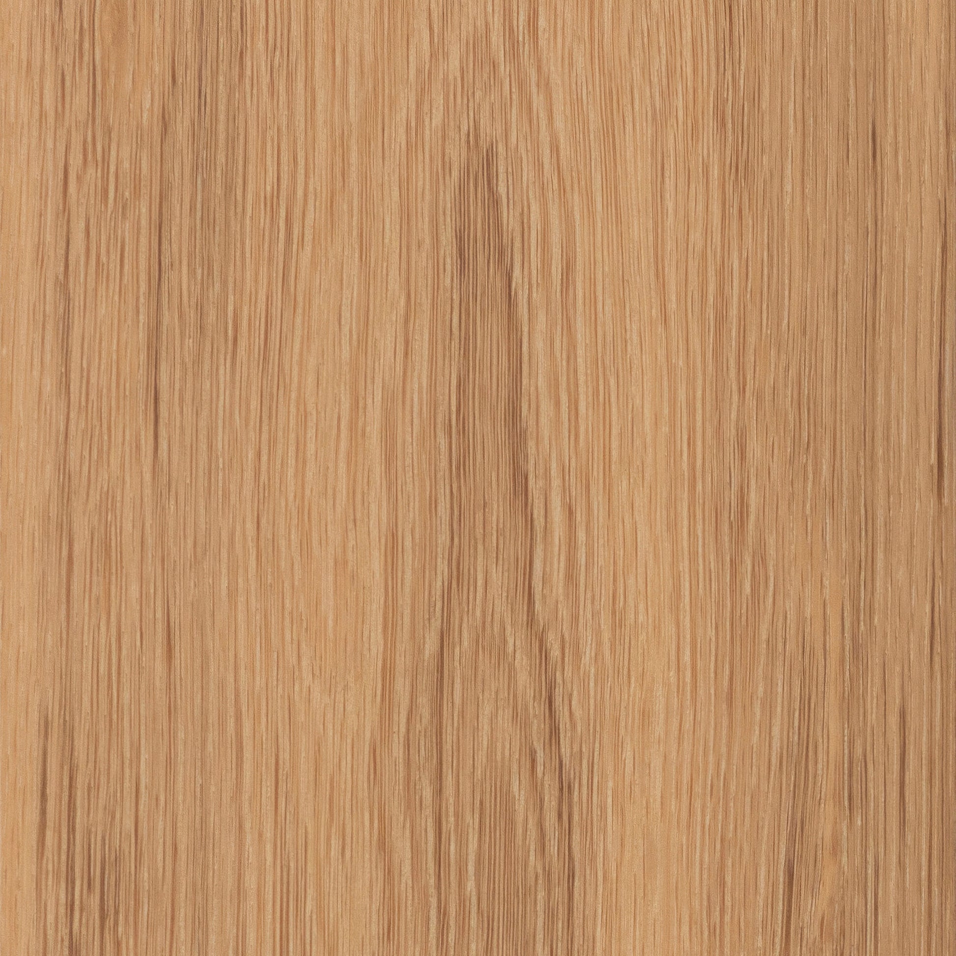 CALI European white oak Vintner Gold hardwood flooring — lifestyle view