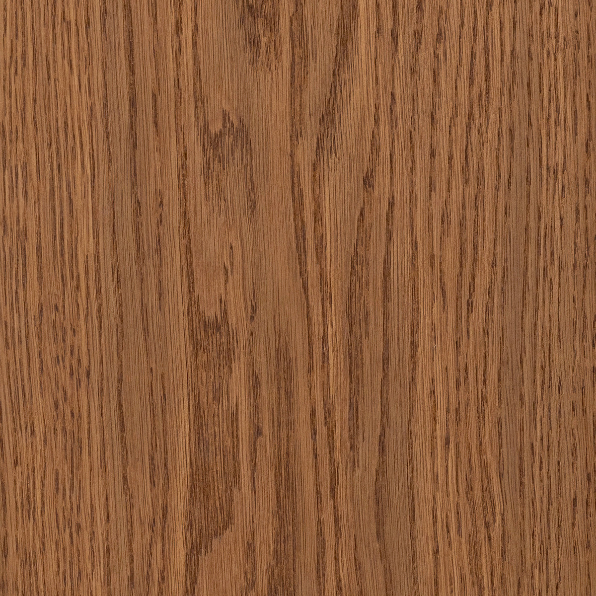CALI European white oak Barnyard Brut hardwood flooring — lifestyle view