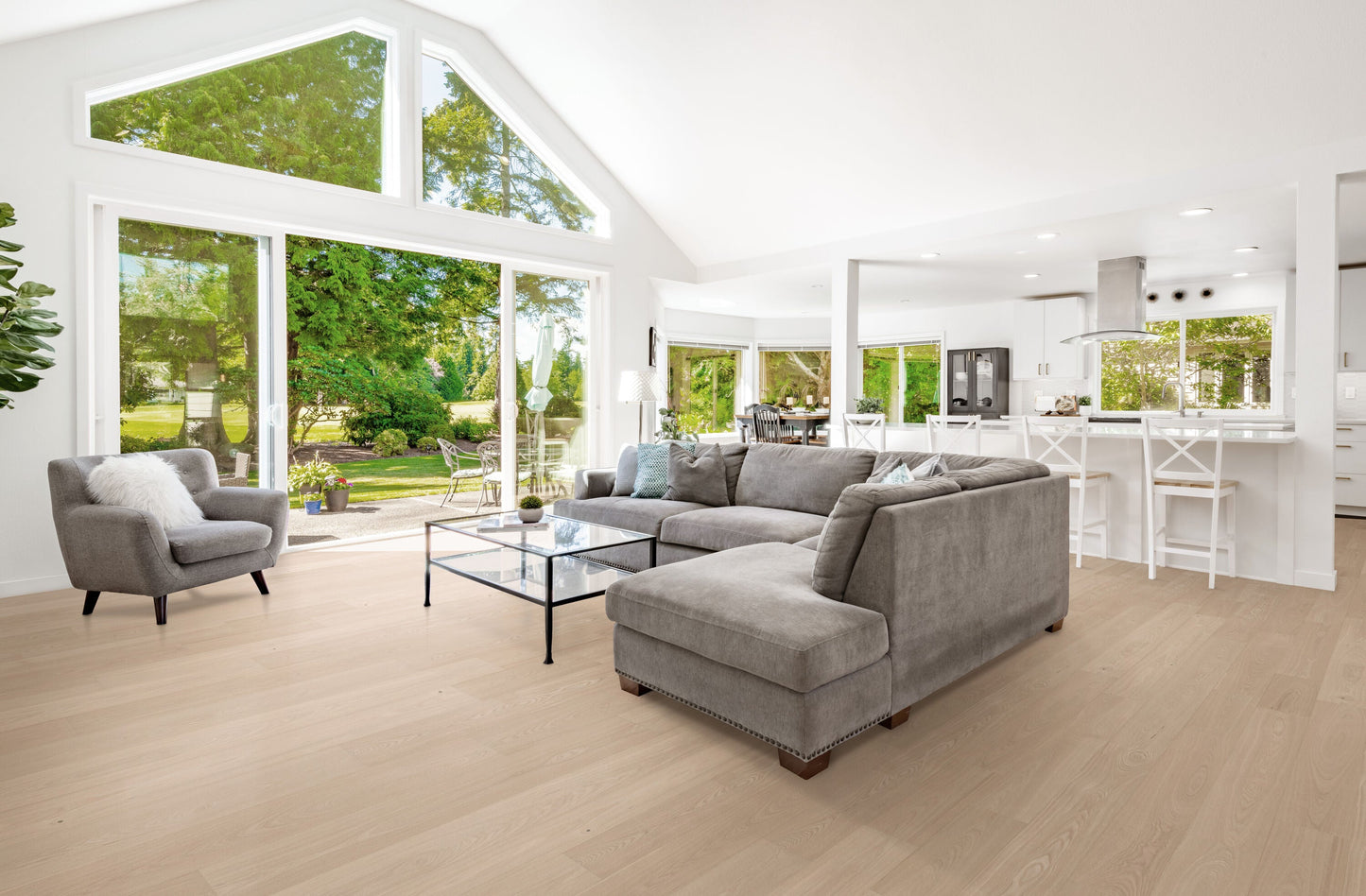 CALI Ash Clarified Ash hardwood flooring — installed room view