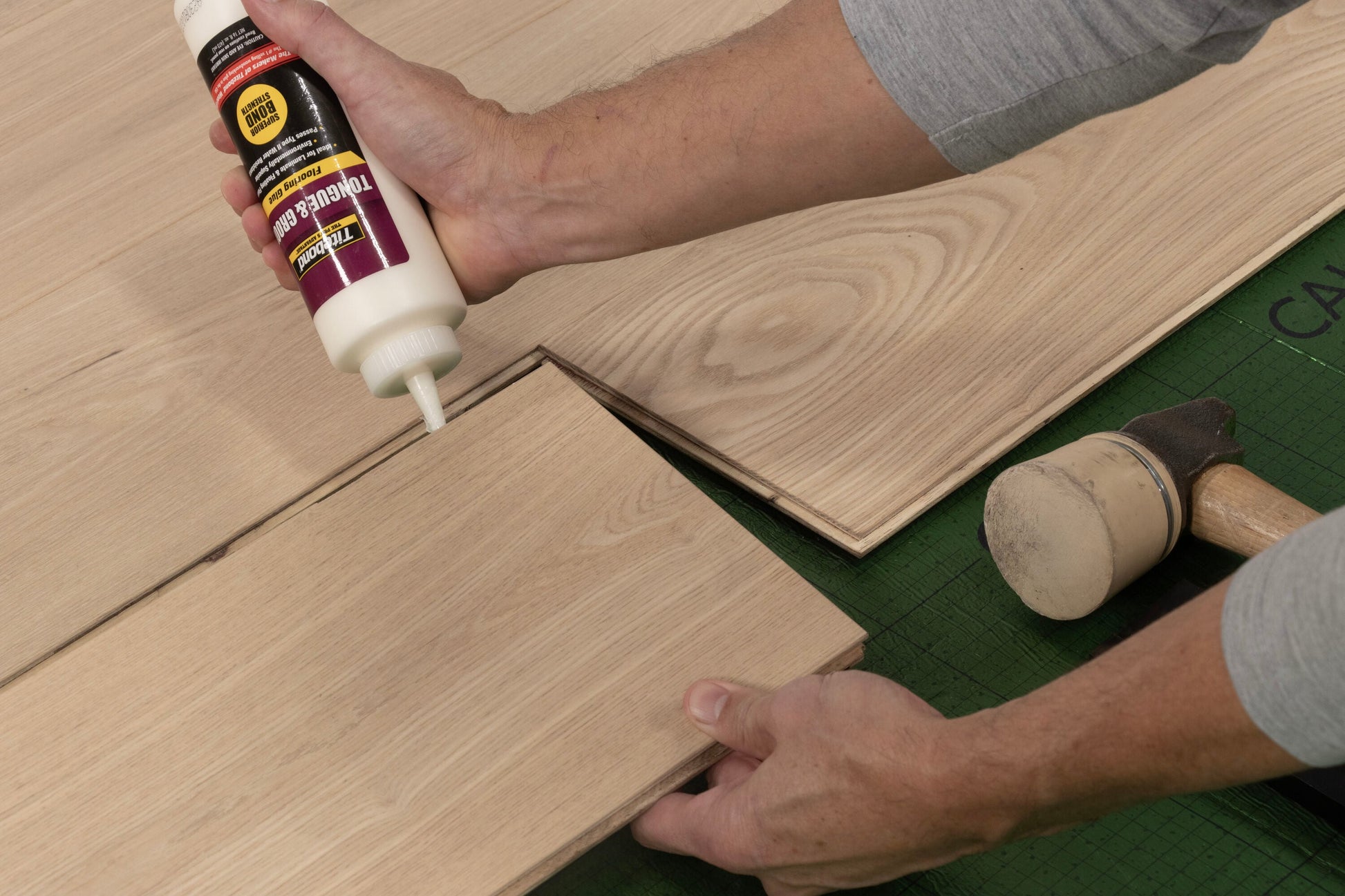 CALI Ash Clarified Ash hardwood flooring — lifestyle view