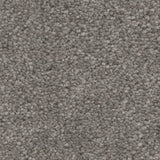 STAINMASTER Essentials Blue Diamonds I 15-ft Concrete Textured Carpet (Indoor)