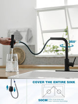 JOOM Black Kitchen Faucet with Pull Down Sprayer, Waterfall Design, Stainless Steel