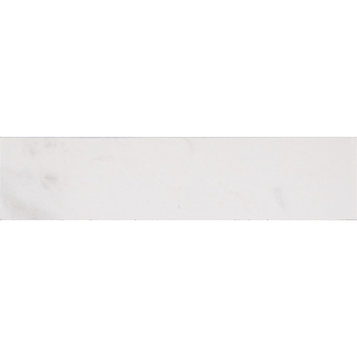 STAINMASTER Bullnose Calacatta Silver 3-in x 12-in Matte Porcelain Marble look Floor and Wall Tile product image
