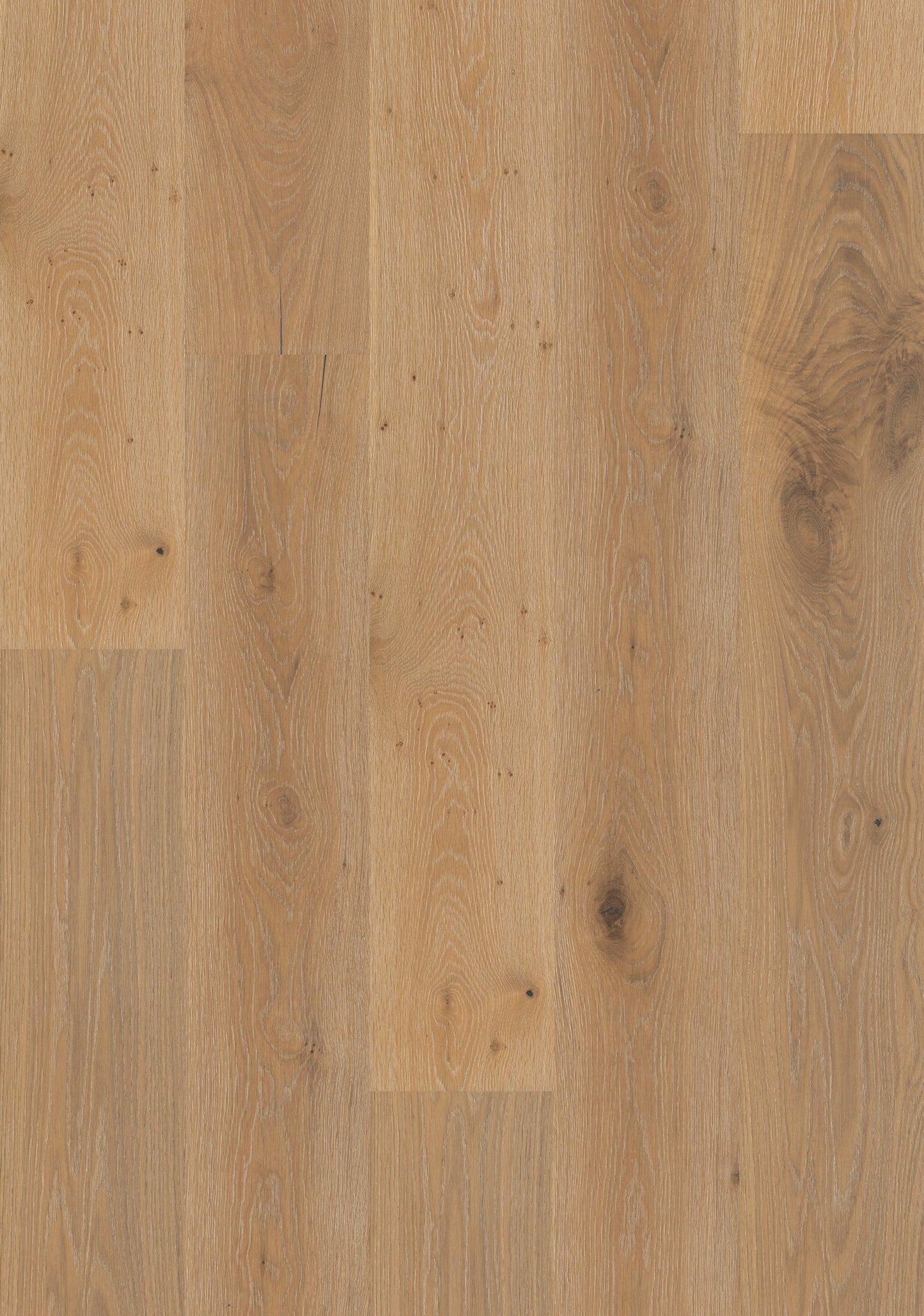 Shaw White oak Wilshire hardwood flooring — carton and plank detail