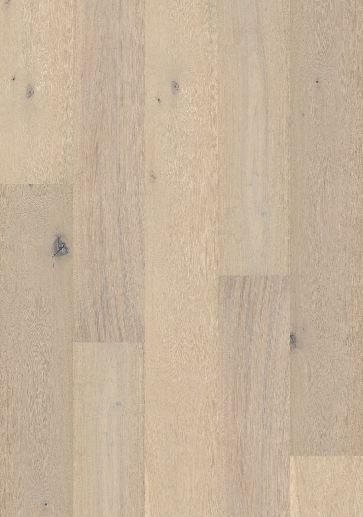 Shaw White oak Tremont hardwood flooring — carton and plank detail