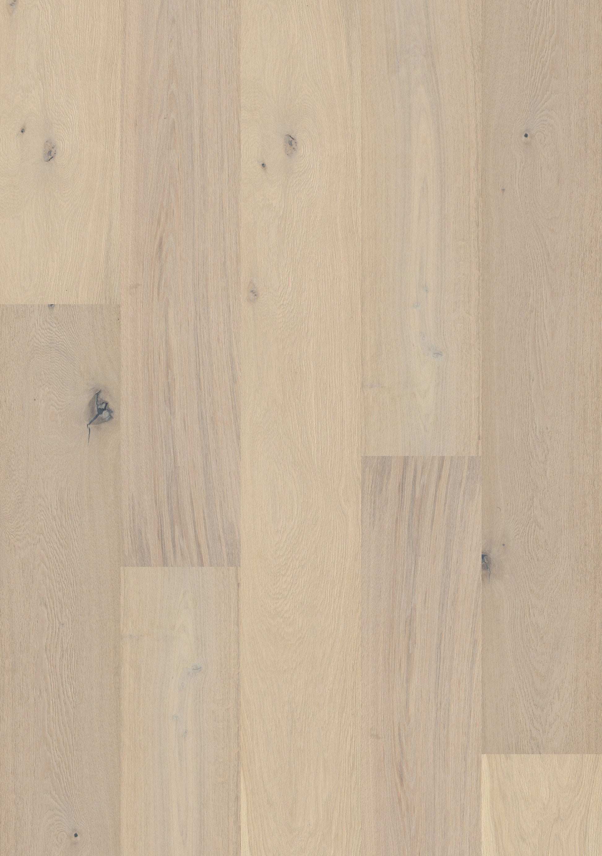 Shaw White oak Tremont hardwood flooring — carton and plank detail