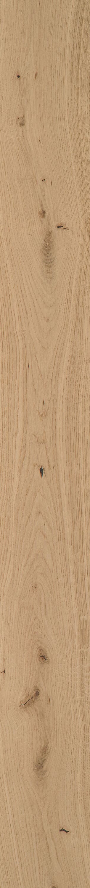 Shaw White oak Dorchester hardwood flooring — carton and plank detail