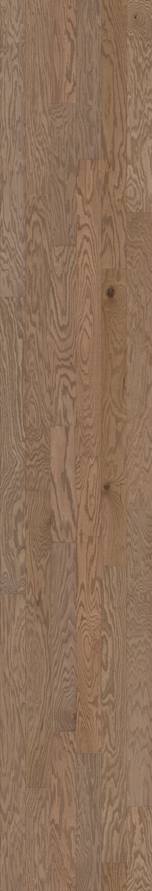 Shaw Red oak Cubano hardwood flooring — lifestyle view