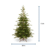 729083277757_12305685_1395272679.jpg