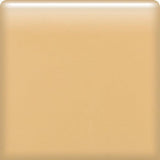 American Olean Bright Salt and Pepper Gloss Ceramic Bullnose Tile (6-in x 6-in) - Super Arbor