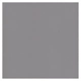American Olean Bright 50-Pack Biscuit Gloss 6-in x 6-in Glossy Ceramic Subway Wall Tile - Super Arbor