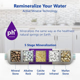 Express Water – 2 Pack Alkaline Filter Replacement – Mineral, Antioxidant, pH+ – Under Sink Reverse Osmosis System