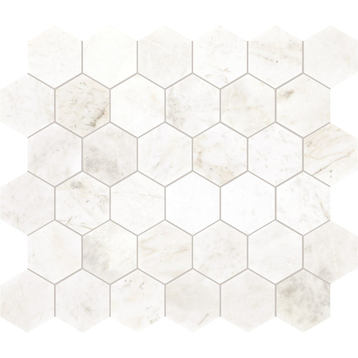 Daltile GENUINE STONE White Ember 11-in x 13-in Honed Natural stone Marble Marble look Hexagon Mosaic Floor and Wall Tile product image