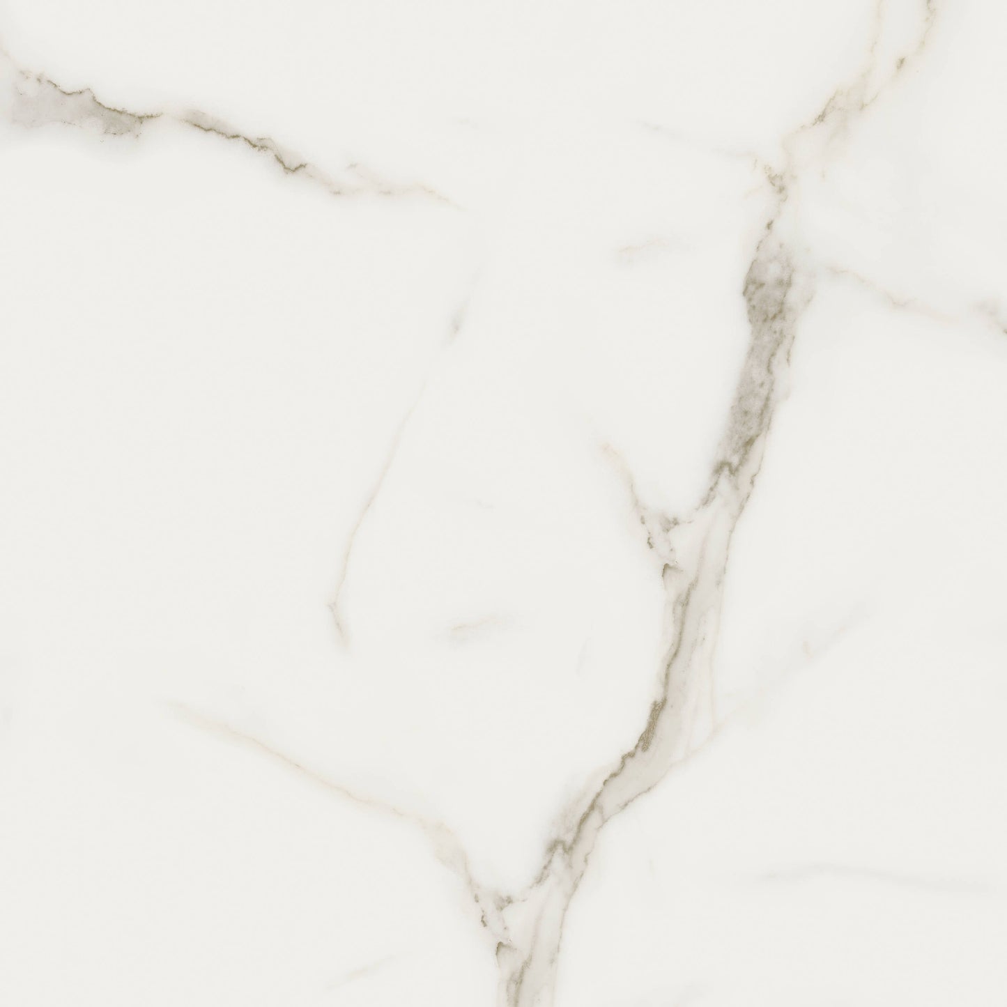 Satori Mayfair Calacatta Oro 24-in x 24-in Matte Porcelain Marble look Floor and Wall Tile product image