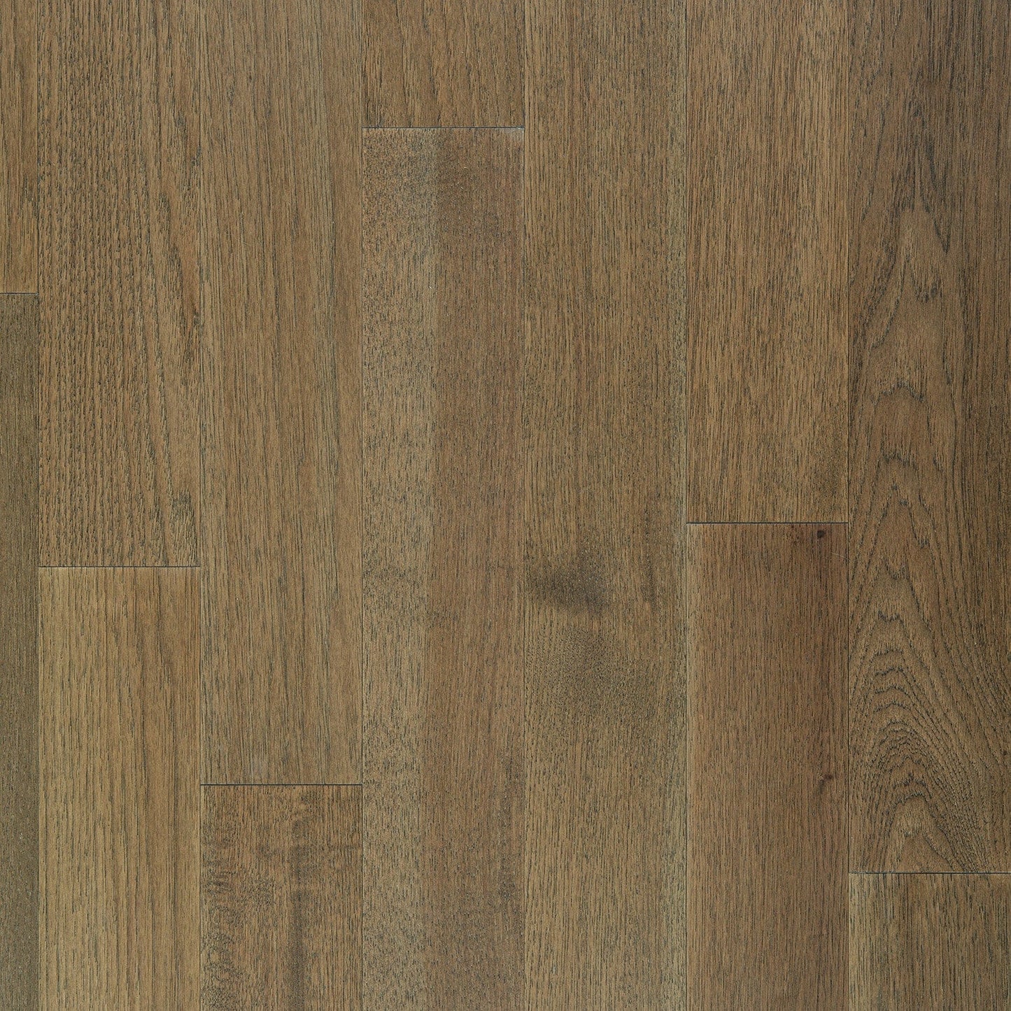 allen + roth Hickory Saddle hardwood flooring — primary plank view
