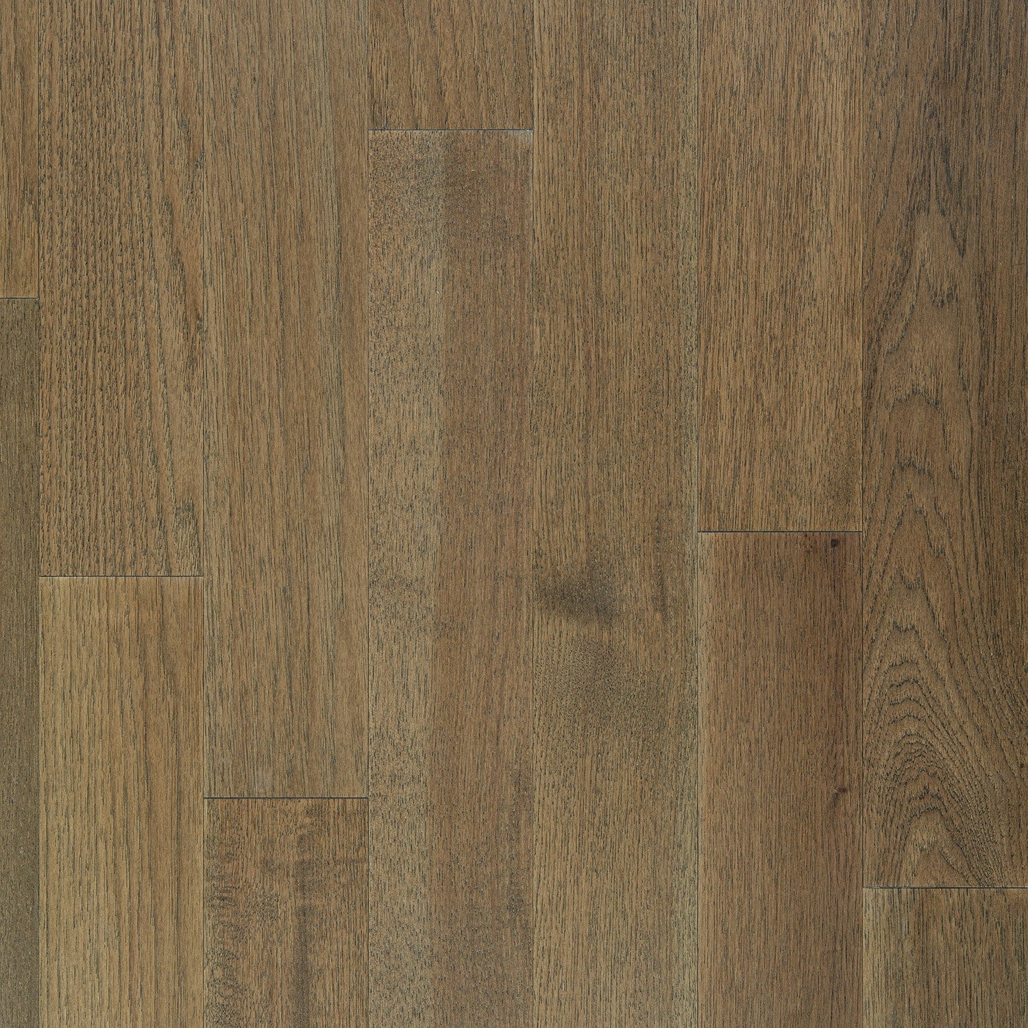 allen + roth Hickory Saddle hardwood flooring — primary plank view