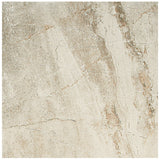 American Olean Danya 8-Pack Cove 18-in x 18-in Glazed Porcelain Stone Look Floor and Wall Tile - Super Arbor