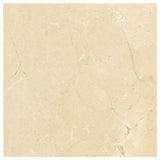 744704947109xl_-923029031.jpg