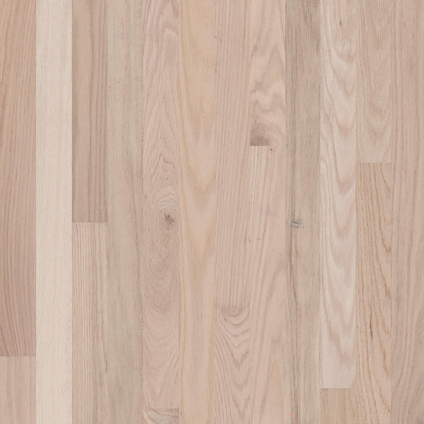 allen + roth Red oak Unfinished Select hardwood flooring — primary plank view