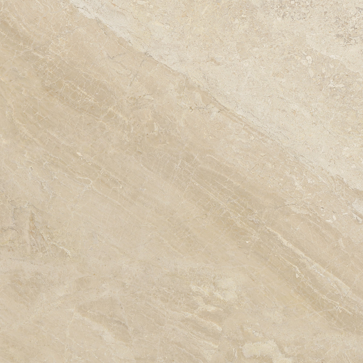 Satori Impero Reale 24-in x 24-in Honed Natural stone Marble Marble look Floor and Wall Tile product image