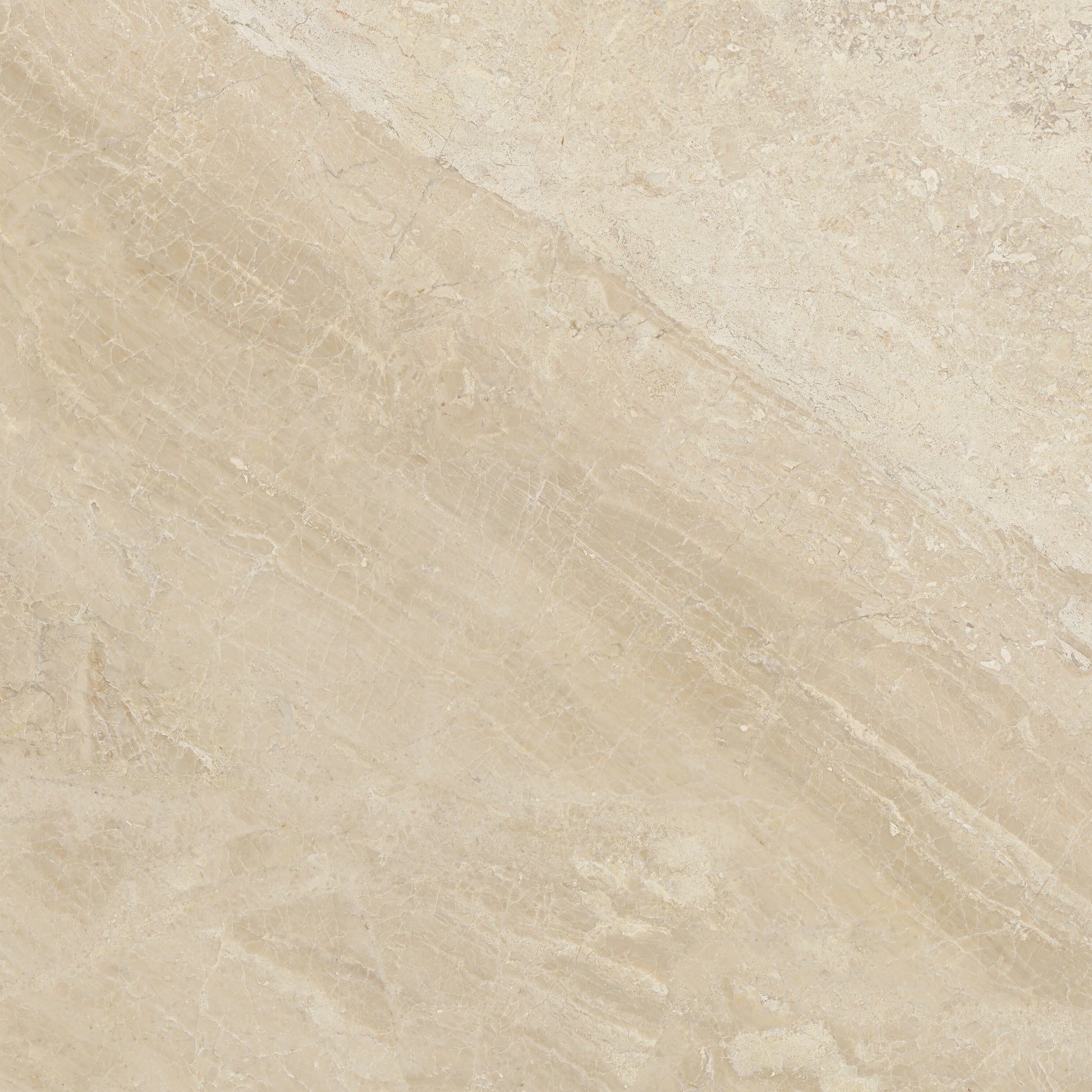 Satori Impero Reale 24-in x 24-in Honed Natural stone Marble Marble look Floor and Wall Tile product image