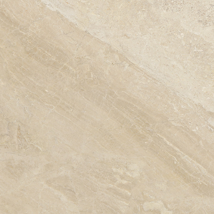 Satori Impero Reale 24-in x 24-in Honed Natural stone Marble Marble look Floor and Wall Tile product image