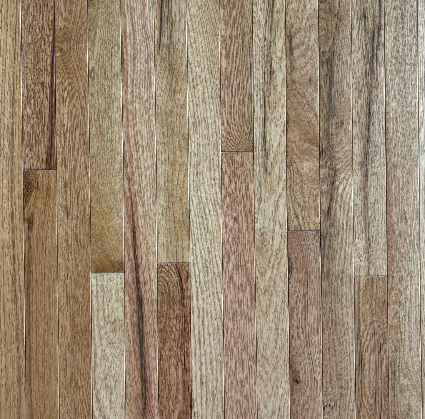 Century White oak Character Natural hardwood flooring — primary plank view