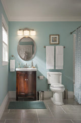 Delta Windemere Brushed Nickel Wall Mount Spring-Loaded Toilet Paper Holder